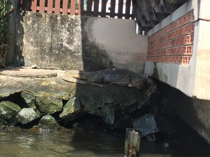 9342e3e2-a086-44e9-afe6-9c77c633ac2d